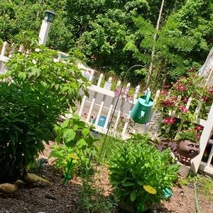 Meet your Posher, Tyroneburg